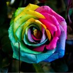@_bobby.max_ - Instagram