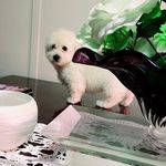 @_bobby_max - Instagram