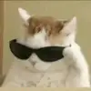 max - @bobby.max - TikTok