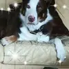 Bobby May - @bobby.may14 - TikTok