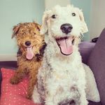 Bobby & Maya - @bobby.maya - Instagram