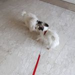 Bobby &Maya - @maya_bobby._ - Instagram