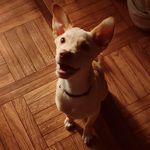 Bobby Maya Michelle. - @__bobby0_0 - Instagram