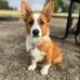 Bob Mayberry - Facebook