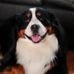 Bobby Mayo - Facebook
