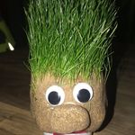 Bobby McAllister - @moodyboab - Instagram