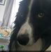 Bobby Mcallister - Facebook