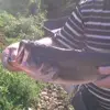Bobby McAllister - @bobby.mcallister6 - TikTok