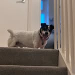 Bobby Patrick McCabe - @bobbymccabe48 - Instagram