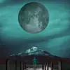 Bobby mccann - @bobbymccann - TikTok