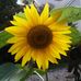 Bob Ann McCartney - Facebook