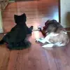 Bobby McClain - @bobby.mcclain84 - TikTok