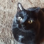 Bobby Mcconnell - @bobbymcconnell19 - Instagram