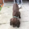 Bobby mcconnell - @bobbym123 - TikTok