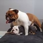 Bobby McCord - @robertmccord67 - Instagram