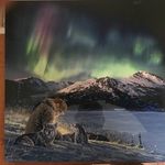 Bobby Mccormick - @bobby.mccormick79 - Instagram