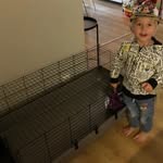 Bobby Mccormick - @bobbymccormick777 - Instagram