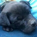 Bobbie McCown - @bender13133 - Instagram