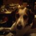 Robert Mccubbin - Facebook