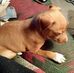 Robert Mendenhall - Facebook