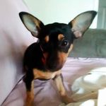 bobby j mounts - @bobbyjmounts - Instagram