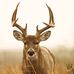 Bobby Mounts - Facebook