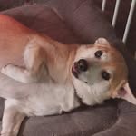 Bobby - @bobby_nagel_18 - Instagram