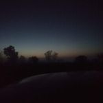 Bobby Neil - @bobby.neil.315213 - Instagram