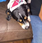 Bobby Nelson - Facebook