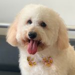 Bobby Nelson - @iambobbynelson - Instagram