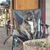 bobbynelson379 - @bobbynelson379 - TikTok