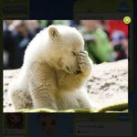 Bobby Olsen - @olsen5775 - Instagram