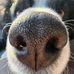 Bobby Pace - Facebook