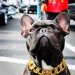 Bobby Peña - @krewedshots - Instagram
