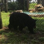 @polo_zera_bobby - Instagram