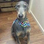 Bobby Ramsey - @bobby.ramsey.733 - Instagram