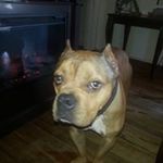 Bobby Rivera - @bobbyrivera3644 - Instagram