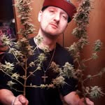 Bobby Robins - @oveus420 - Instagram