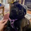 bobbyroeellis1 - @bobbyroeellis1 - TikTok