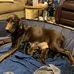 Bobby Ross - Facebook