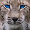 Bobby Rosser620 - @bobbyrosser - TikTok