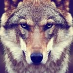 Bobby Rutherford - Facebook