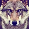 Bobby Rutherford - @bobby.rutherford72 - TikTok