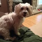 Bobby Sanders - @g.moyat - Instagram