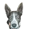 Bobby Sanders - @bobby.sanders4 - TikTok