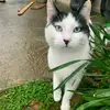 Bobby - @bobby_savage_0 - TikTok