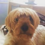 Bobby Savage - @bobby_savage_ - Instagram