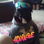 bobby savage - @bobby_hahahahahahahah - Instagram