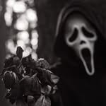 Bobby Schmidt - @bobbyschmidt57 - Instagram