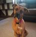 Bobby Schmitt - Facebook